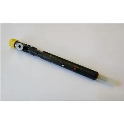 Mercedes-Benz A6460700987 Enjektör